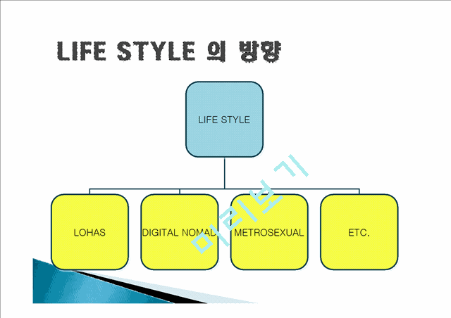 라이프 스타일 (Life Style) 개념, 정의, 방향, 기업 사례, 풀무원, 디지털 큐브, 꽃을 든 남자, 성공요인, 성공전략, 경영전략, 변화, 특징, 사례, 관리, 역할, 기법, 시사점   (4 )